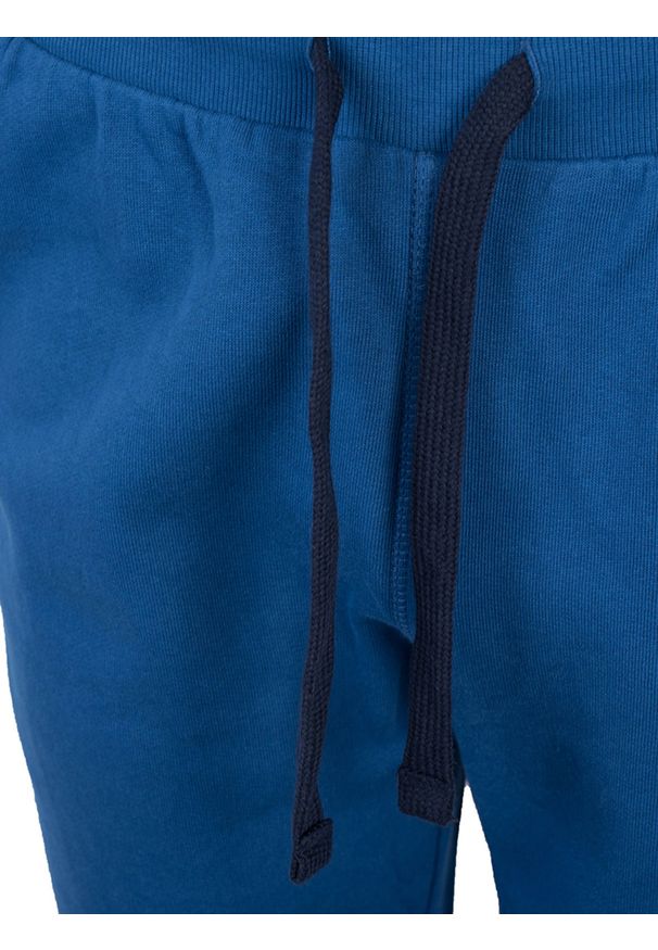North Sails Spodnie | 90 3203 000 | Sweatpant W/Graphic | Mężczyzna | Niebieski. Okazja: na co dzień. Kolor: niebieski. Materiał: bawełna. Wzór: nadruk, aplikacja. Styl: casual
