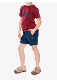 Spodnie dla dzieci Vaude ZO Pants Slim Fit. Kolor: zielony