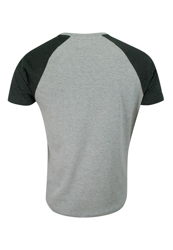 Brave Soul - T-shirt Szaro-Popielaty Bawełniany, Krótki Rękaw Raglanowy, Dwukolorowy, Męski -BRAVE SOUL. Okazja: na co dzień. Kolor: szary. Materiał: bawełna, wiskoza. Długość rękawa: krótki rękaw. Długość: krótkie. Sezon: lato, wiosna. Styl: casual