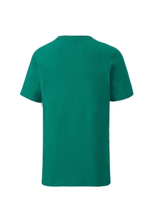 Koszulka dla dzieci Puma Teamgoal 23 65670905 2pack. Kolor: zielony. Materiał: bawełna, materiał