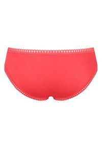 Sloggi Komplet fig Go Crush 10219671 Kolorowy. Materiał: bawełna. Wzór: kolorowy #8