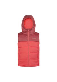 Kurtka dziecięca bez rękawów Regatta Loft House II. Kolor: czerwony. Materiał: puch. Długość rękawa: bez rękawów. Styl: sportowy, młodzieżowy #1