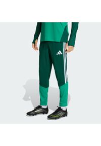 Adidas - Spodnie treningowe Algeria 26. Kolor: zielony. Materiał: dresówka. Sport: piłka nożna #1