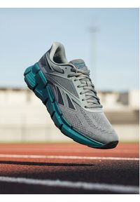 Reebok Buty do biegania EO-ZIG DYNAMICA 6 100225488 Beżowy. Kolor: beżowy. Materiał: materiał #6