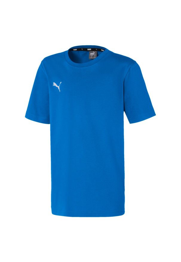 Koszulka Puma Team Goal dzieci L (12-14). Kolor: wielokolorowy, niebieski, szary. Sport: piłka nożna, fitness