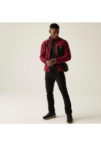 Regatta - Polar turystyczny męski Frankie Full Zip. Kolor: czerwony, brązowy, wielokolorowy. Materiał: polar. Sport: turystyka piesza #1