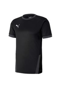Koszulka do piłki nożnej męska Puma teamGOAL 23 Jersey. Kolor: czarny. Materiał: jersey