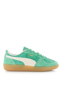 Buty Mężczyzna Puma Palermo Vintage zielony. Okazja: na co dzień. Kolor: zielony