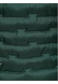 Jack Wolfskin Kurtka puchowa Passamani A61836 Zielony Regular Fit. Kolor: zielony. Materiał: syntetyk #6