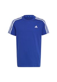 Adidas - Essentials 3-Stripes Cotton Tee. Kolor: biały, niebieski, wielokolorowy #1