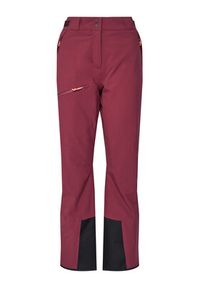 Salewa Spodnie narciarskie Antelao Beltovo Twr Pnt 28252 Bordowy Regular Fit. Kolor: czerwony. Materiał: syntetyk. Sport: narciarstwo #4