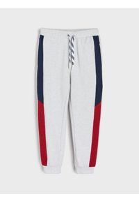 Sinsay - Spodnie dresowe - szary. Kolor: szary. Materiał: dresówka