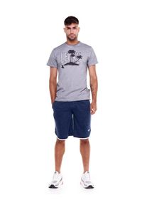 LEONE 1947 APPAREL - Męski t-shirt z efektem wyblakłej palmy plażowej. Kolor: szary. Materiał: tkanina. Sport: fitness
