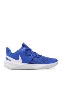 Buty halowe Nike. Kolor: niebieski. Model: Nike Court, Nike Zoom