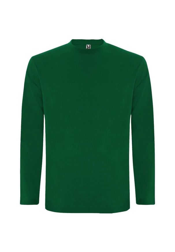 ROLY - Męska Koszulka Z Długim Rękawem Extreme. Kolor: zielony. Długość rękawa: długi rękaw. Długość: długie. Sport: turystyka piesza