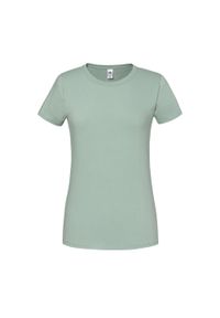 FRUIT OF THE LOOM - Koszulka Damska Iconic 195 Premium Ringspun Cotton T-shirt. Kolor: szary. Sport: turystyka piesza