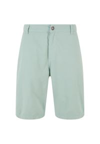 Szorty Urban Classics Skater. Kolor: niebieski. Długość: krótkie. Sezon: lato #1