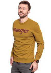 Wrangler - WRANGLER BLUZA LOGO CREW GOLDEN BROWN W6585I7VQ 112130605 #7