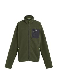Regatta - Męski Polar Frankie Borg. Kolor: zielony. Materiał: polar. Sezon: zima. Styl: sportowy. Sport: turystyka piesza #1