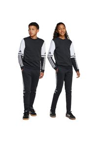 Adidas - Spodnie dla dzieci adidas Squadra 25 Sweat. Okazja: na co dzień. Kolor: biały, wielokolorowy, czarny. Styl: sportowy, casual