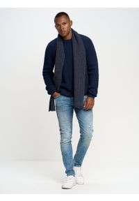 Big-Star - Spodnie jeans męskie skinny Owen 141. Okazja: na co dzień. Stan: obniżony. Kolor: niebieski. Wzór: kratka. Styl: casual, retro, sportowy, klasyczny