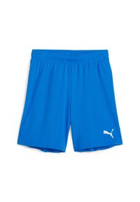 Szorty dla dzieci Puma TeamGoal. Kolor: niebieski, wielokolorowy, biały. Styl: sportowy #1