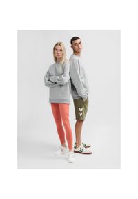 Luźna bluza z okrągłym dekoltem Hummel Bee. Kolor: szary. Materiał: materiał. Sport: fitness #1