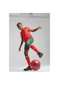 Puma - Szorty dla dzieci Portugal 2025. Kolor: wielokolorowy, beżowy, zielony