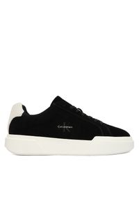 Sneakersy Calvin Klein. Kolor: czarny #1