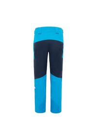Spodnie narciarskie zimowe męskie The North Face M Presena Pant. Kolor: niebieski. Sezon: zima. Sport: narciarstwo