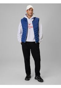 4f - 4F Bezrękawnik z wypełnieniem syntetycznym męski - granatowy 3XL. Typ kołnierza: kołnierzyk stójkowy. Kolor: niebieski. Materiał: syntetyk. Długość rękawa: bez rękawów #2