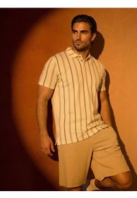 Sinsay - Bawełniana koszulka polo w paski - kremowy. Typ kołnierza: polo. Kolor: kremowy. Materiał: bawełna. Wzór: paski #1