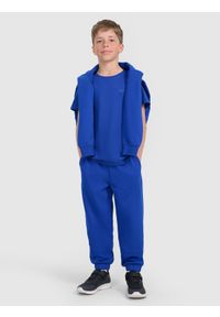 4f - 4F T-shirt regular gładki chłopięcy - niebieski 128 (7-8 lat). Okazja: na co dzień. Kolor: niebieski. Materiał: jersey, materiał, bawełna. Długość rękawa: krótki rękaw. Długość: krótkie. Wzór: gładki. Sezon: lato. Styl: młodzieżowy, casual, klasyczny, sportowy #2