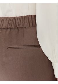 Fabiana Filippi Spodnie materiałowe PADP02W361 Brązowy Regular Fit. Kolor: brązowy. Materiał: materiał, wełna #4