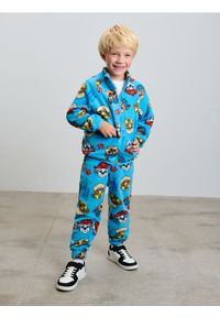 Sinsay - Polarowe spodnie Paw Patrol - beżowy. Kolor: beżowy. Materiał: polar