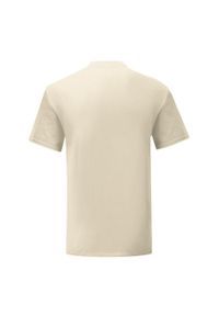 FRUIT OF THE LOOM - Kultowa Koszulka Unisex Dla Dorosłych. Kolor: wielokolorowy, beżowy, szary
