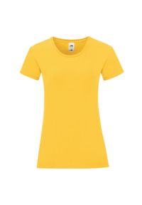 FRUIT OF THE LOOM - T-shirt Dla Dziewczynki Iconic 150. Kolor: pomarańczowy, wielokolorowy, żółty
