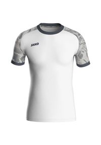 Jersey Jako Iconic. Kolor: szary, biały, wielokolorowy. Materiał: jersey. Sport: fitness, piłka nożna #1