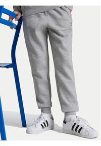 Adidas - adidas Spodnie dresowe IX5297 Szary Regular Fit. Kolor: szary. Materiał: bawełna #5