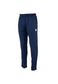 REECE - Spodnie dresowe dziecięce Reece Australia Icon TTS. Kolor: niebieski. Materiał: dresówka. Sport: fitness #1