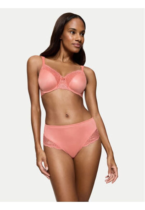 Triumph Figi klasyczne z wysokim stanem Ladyform Soft Maxi 10210671 Różowy. Stan: podwyższony. Kolor: różowy. Materiał: syntetyk