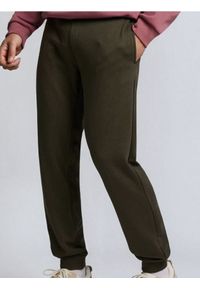 Sinsay - Spodnie jogger slim fit - zielony. Kolor: zielony #1