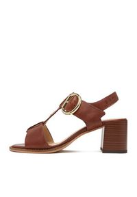 Beverly Hills Polo Club Sandały EO-WB-ISOLDE-09 Brązowy. Kolor: brązowy. Materiał: skóra #2