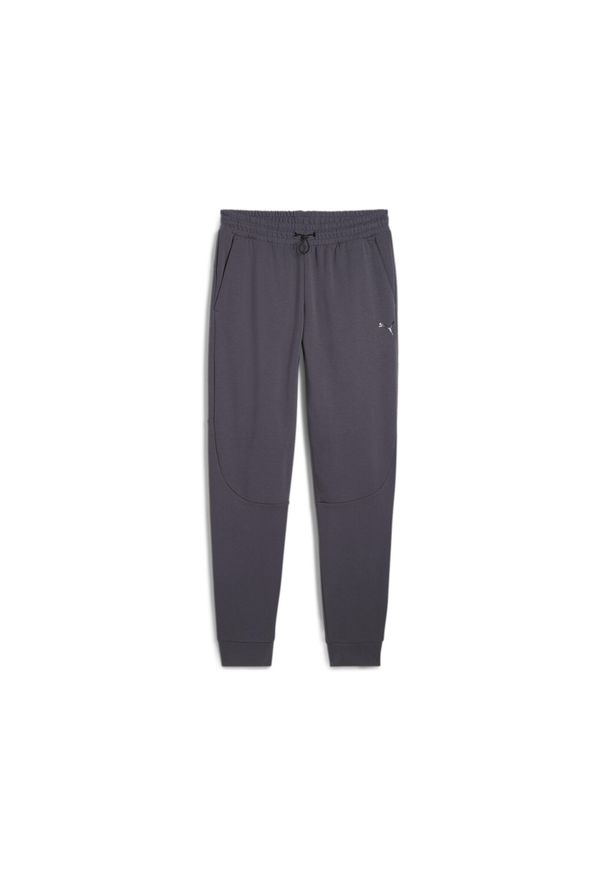Puma - Męskie spodnie RAD/CAL PUMA Galactic Gray. Kolor: szary. Materiał: dzianina. Sport: joga i pilates