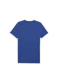 Puma - Męska koszulka Evostripe PUMA Cobalt Glaze Blue. Kolor: wielokolorowy, niebieski, szary