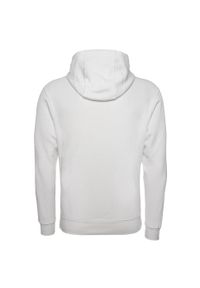 Bluza sportowa męska Nike Park 20 Fleece. Typ kołnierza: kaptur. Kolor: biały, wielokolorowy, szary
