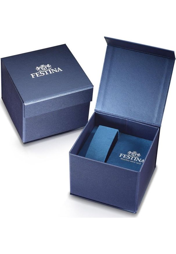 Zegarek Festina Zegarek damski Festina F20031-1 CYRKONIE srebrny. Kolor: srebrny