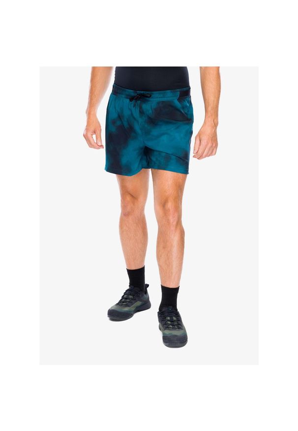 Spodenki treningowe męskie Smartwool Active Lined 5 Short. Kolor: zielony
