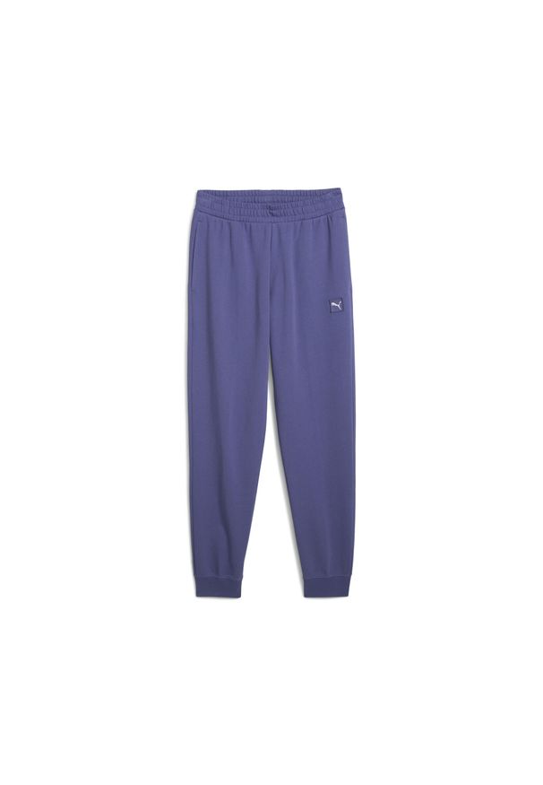 Puma - Męskie spodnie Essentials Elevated PUMA Blue Crystal. Kolor: niebieski. Sport: fitness