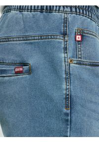 Big-Star - Szorty męskie jeansowe niebieskie Parker 445. Kolor: niebieski. Materiał: jeans. Styl: klasyczny, elegancki #3